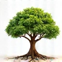 Ikona Drzewa symbolizująca długoterminowe zdrowie